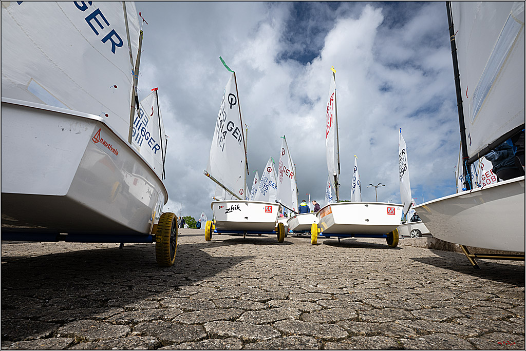 Goldene Opti 2025, 24.05.2025