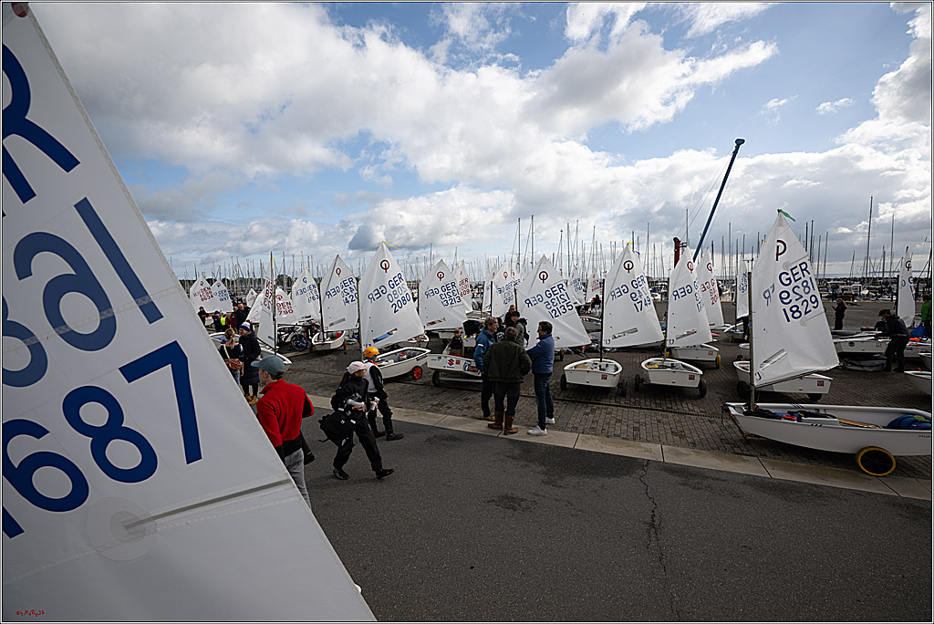 Goldene Opti 2025, 24.05.2025