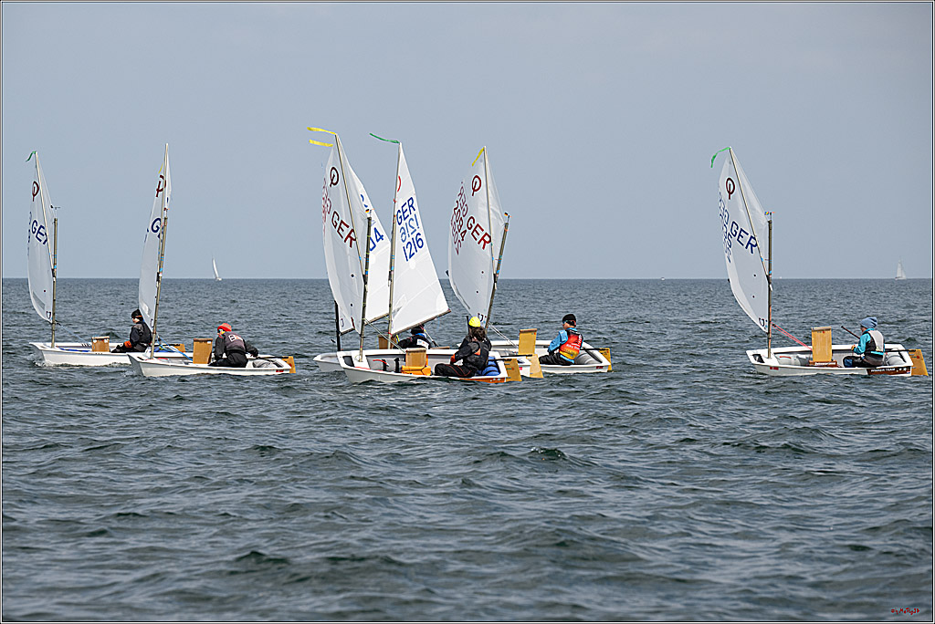 Goldene Opti 2025, 24.05.2025