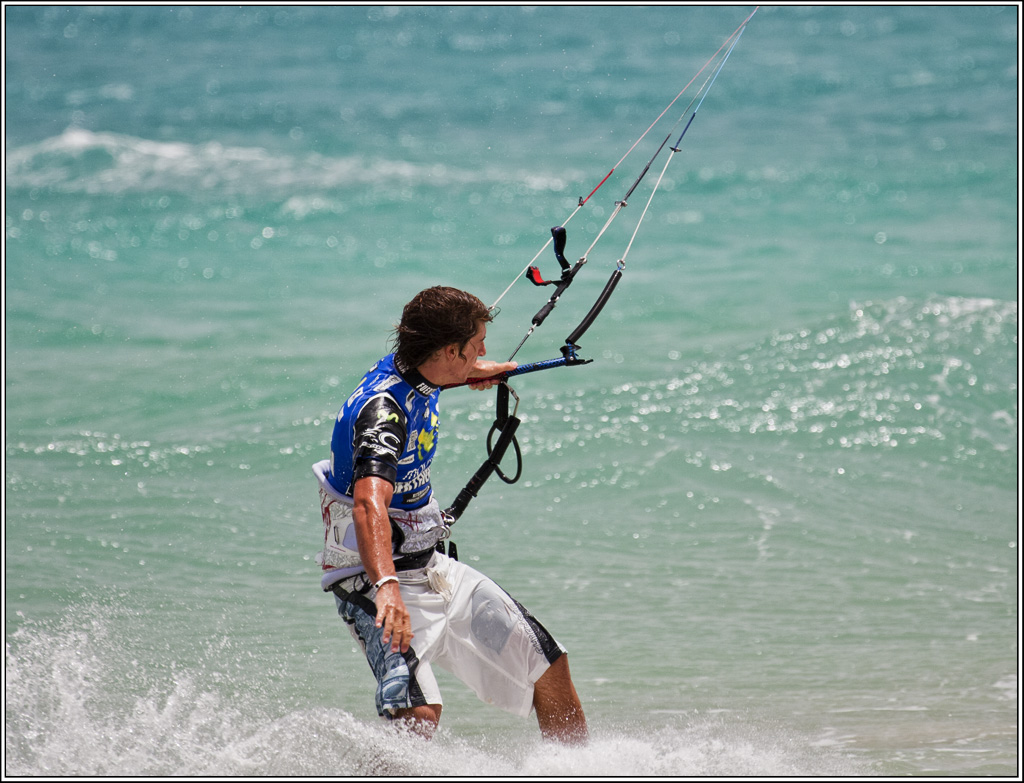 Kite 4477