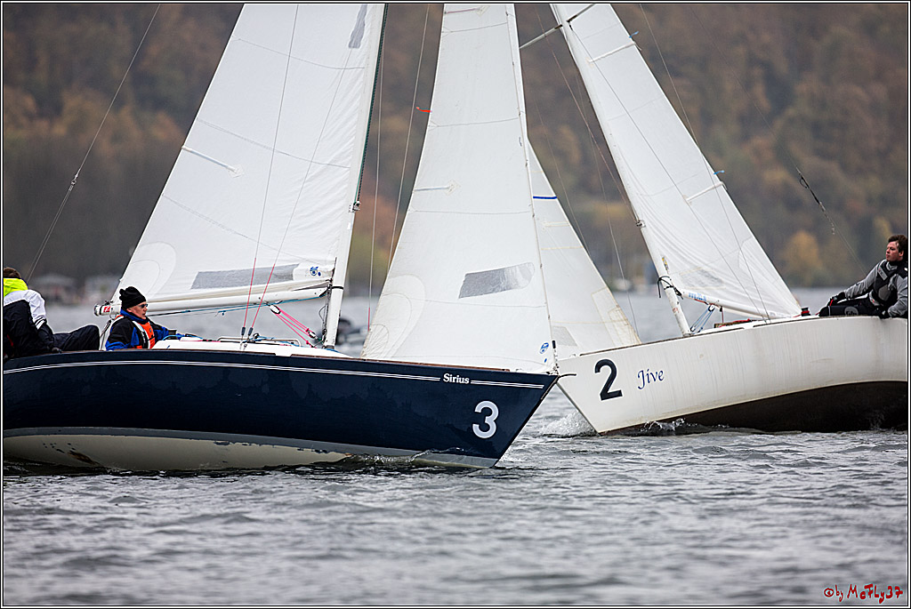 Meisterschaft der Landesmeister, 11.11.2017