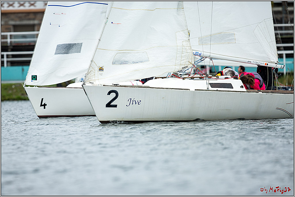 Meisterschaft der Landesmeister, 11.11.2017