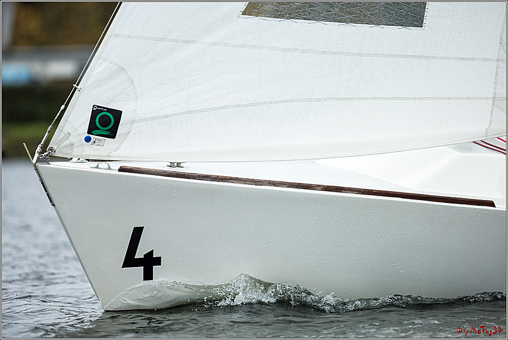 Meisterschaft der Landesmeister, 11.11.2017