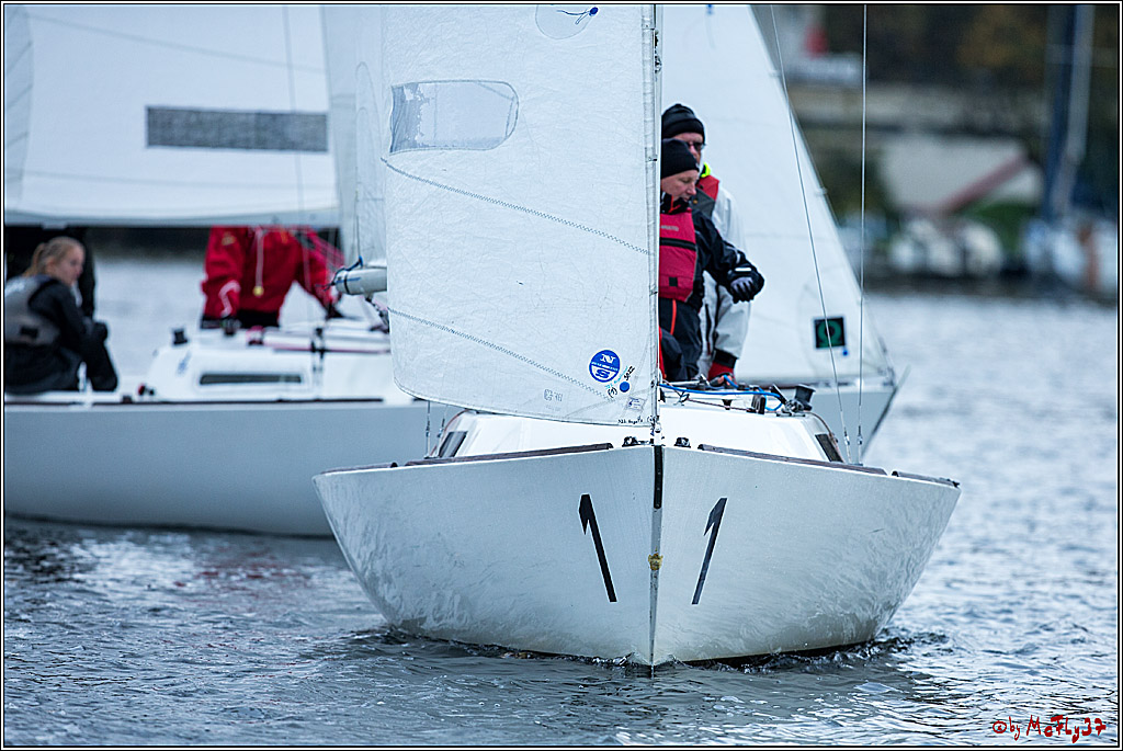 Meisterschaft der Landesmeister, 11.11.2017