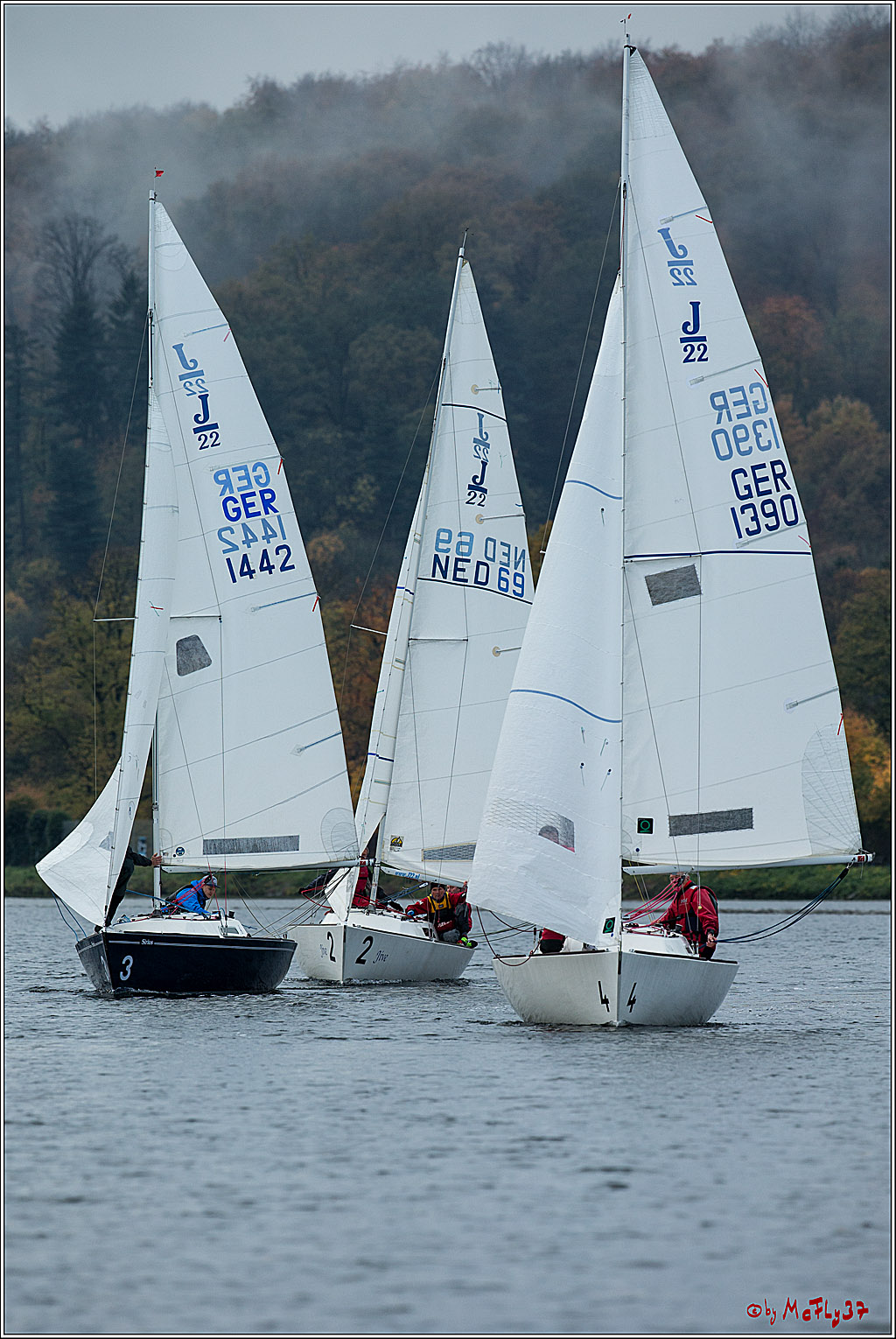 Meisterschaft der Landesmeister, 11.11.2017