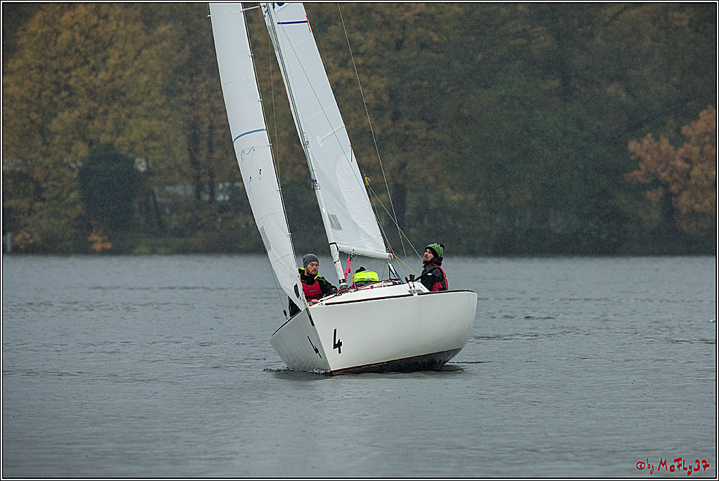 Meisterschaft der Landesmeister, 12.11.2017