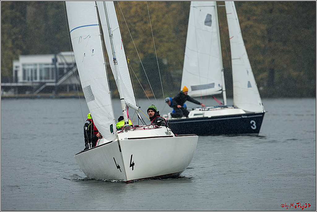 Meisterschaft der Landesmeister, 12.11.2017