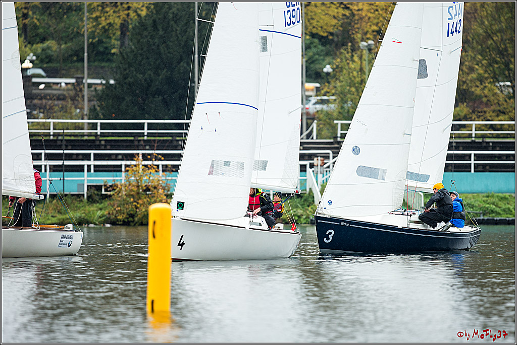 Meisterschaft der Landesmeister, 12.11.2017