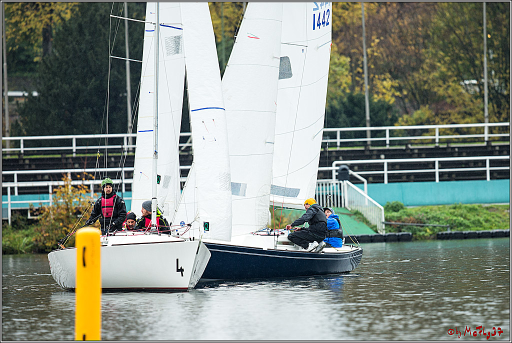 Meisterschaft der Landesmeister, 12.11.2017