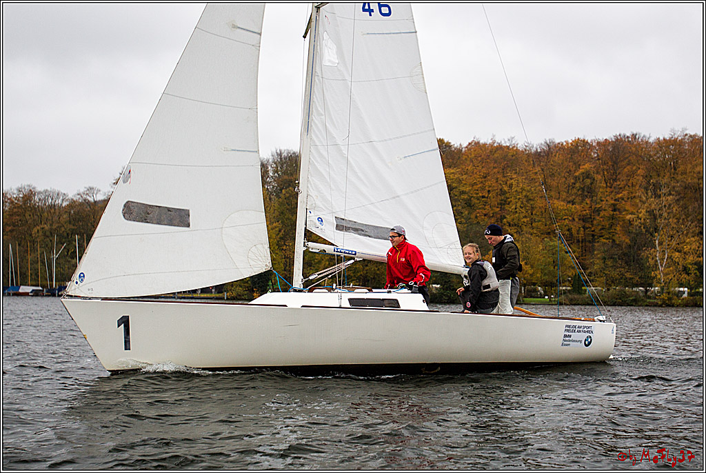 Meisterschaft der Landesmeister, 11.11.2017