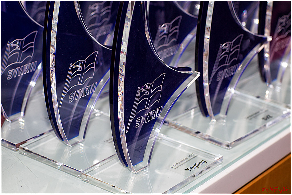 Meisterschaft der Landesmeister, 11.11.2017