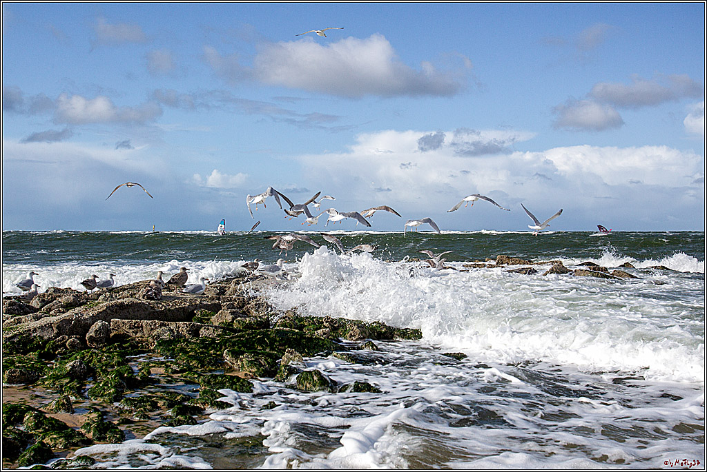 PWA - Mercedes-Benz - World Windsurfing Tour Sylt 2019  - Freestyle Men - Wave Men; Sylt Westerland, 30.09.2019