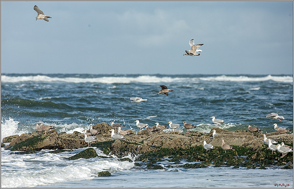 PWA - Mercedes-Benz - World Windsurfing Tour Sylt 2019  - Freestyle Men - Wave Men; Sylt Westerland, 02.10.2019