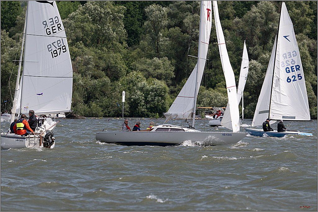 Rheinwoche 2025 1. Regattatag, 07.06.2025