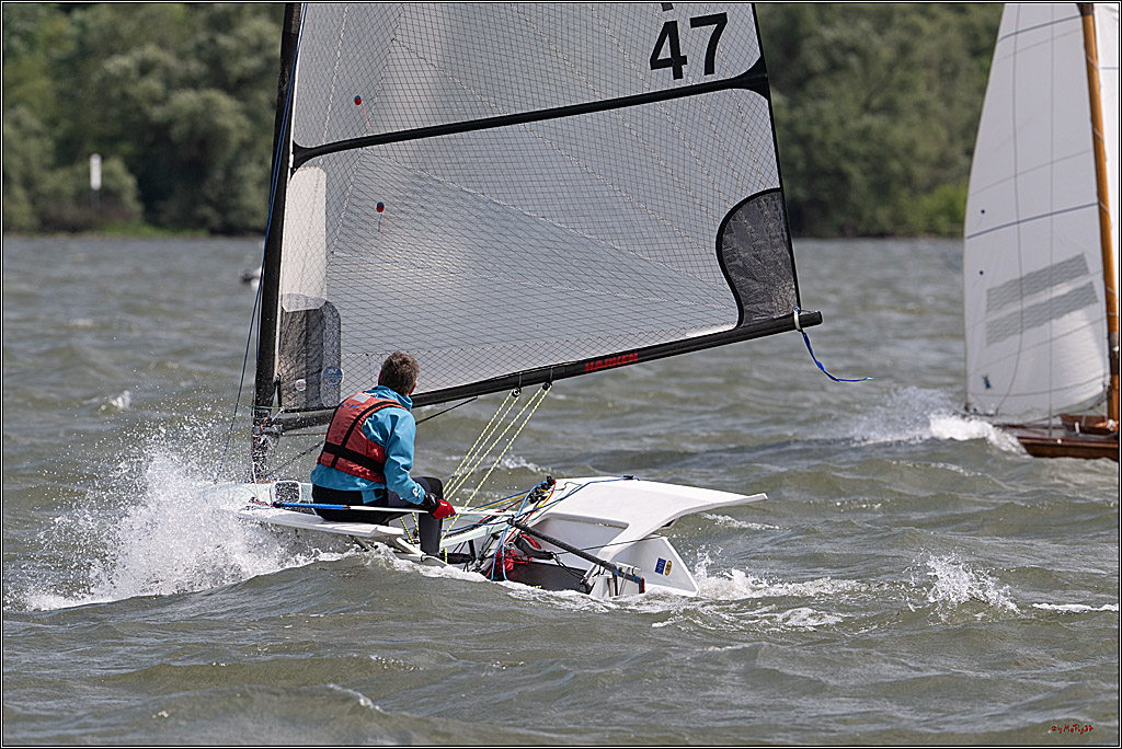 Rheinwoche 2025 1. Regattatag, 07.06.2025