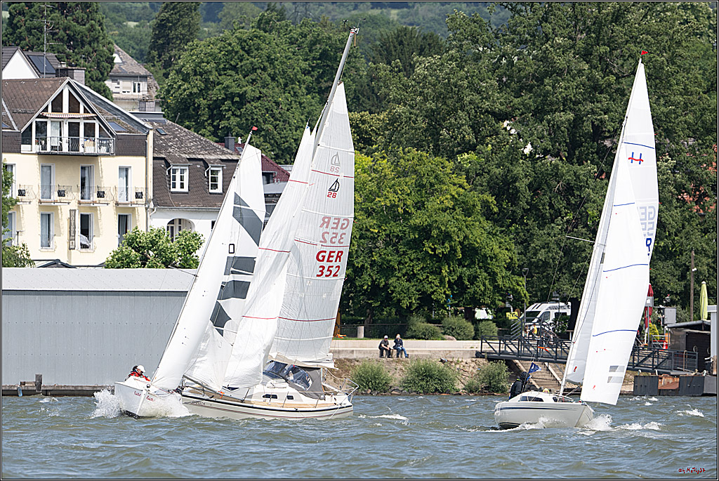 Rheinwoche 2025 1. Regattatag, 07.06.2025