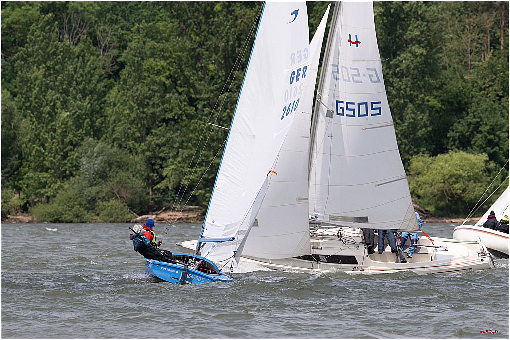 Rheinwoche 2025 1. Regattatag, 07.06.2025