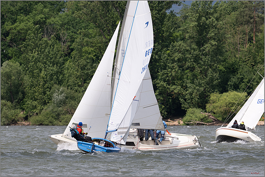 Rheinwoche 2025 1. Regattatag, 07.06.2025