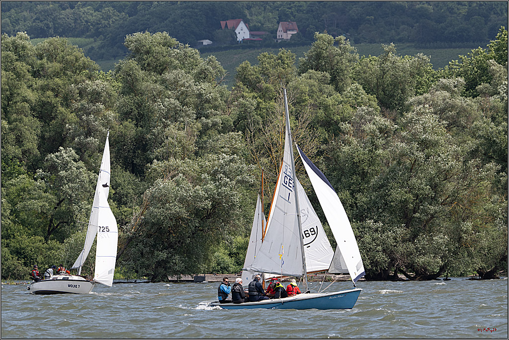 Rheinwoche 2025 1. Regattatag, 07.06.2025