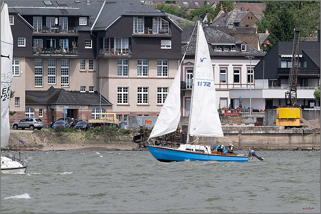 Rheinwoche 2025 1. Regattatag, 07.06.2025