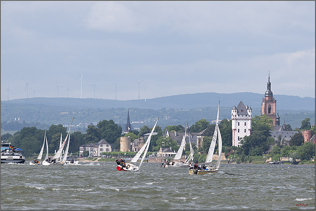 Rheinwoche 2025 1. Regattatag, 07.06.2025