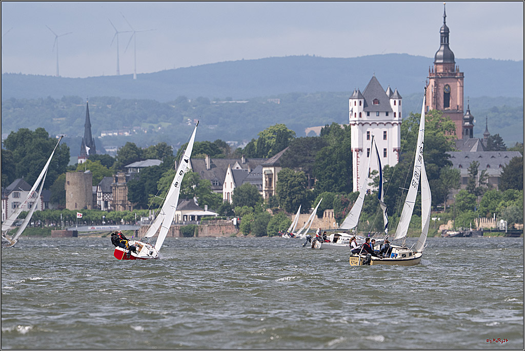 Rheinwoche 2025 1. Regattatag, 07.06.2025