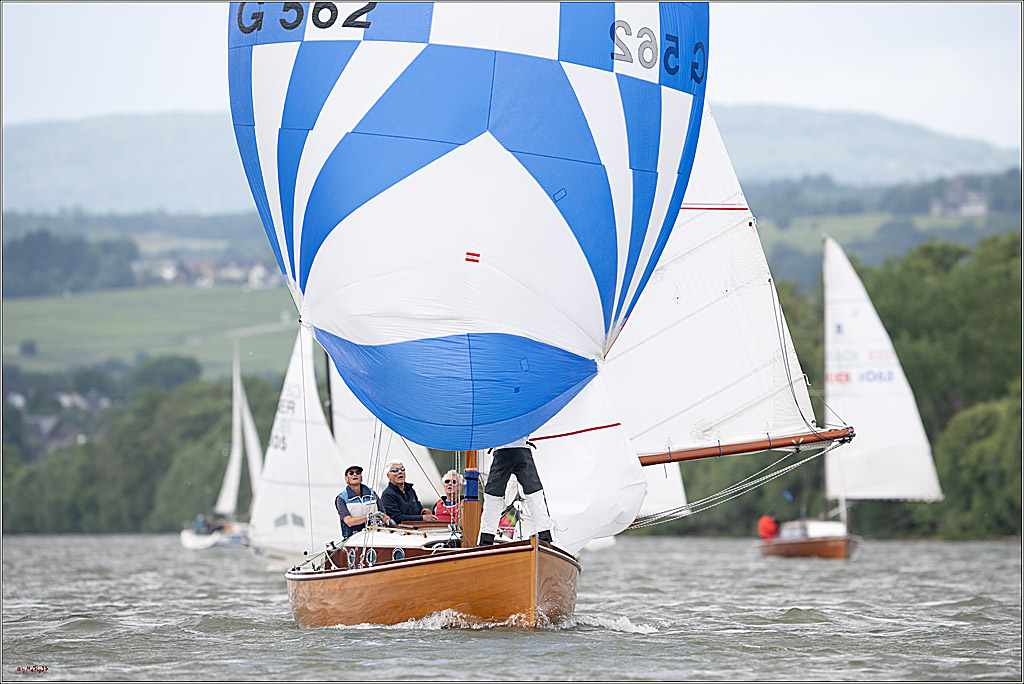Rheinwoche 2025 1. Regattatag, 07.06.2025