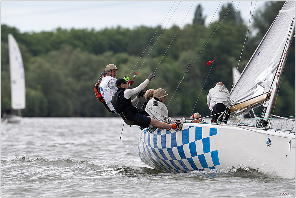 Rheinwoche 2025 1. Regattatag, 07.06.2025