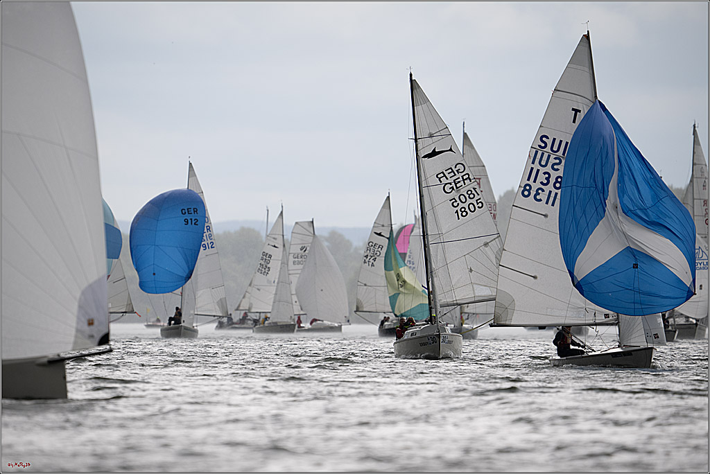 Rheinwoche 2025 1. Regattatag, 07.06.2025