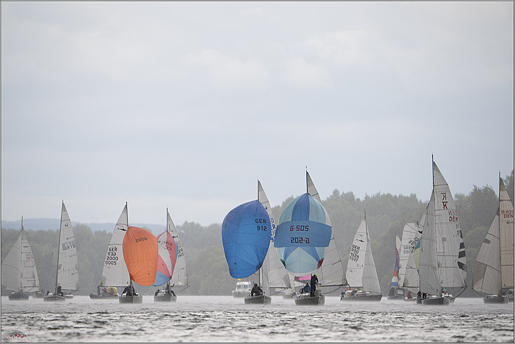 Rheinwoche 2025 1. Regattatag, 07.06.2025