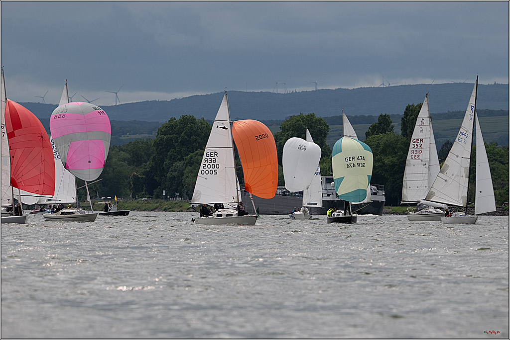 Rheinwoche 2025 1. Regattatag, 07.06.2025