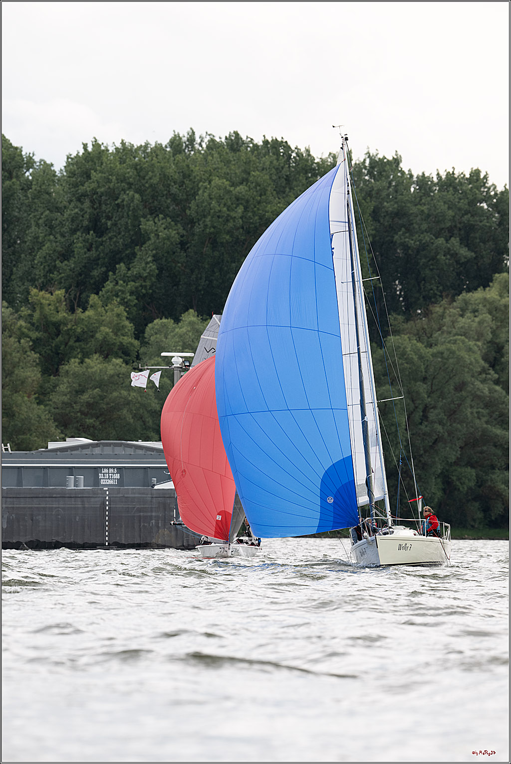 Rheinwoche 2025 1. Regattatag, 07.06.2025