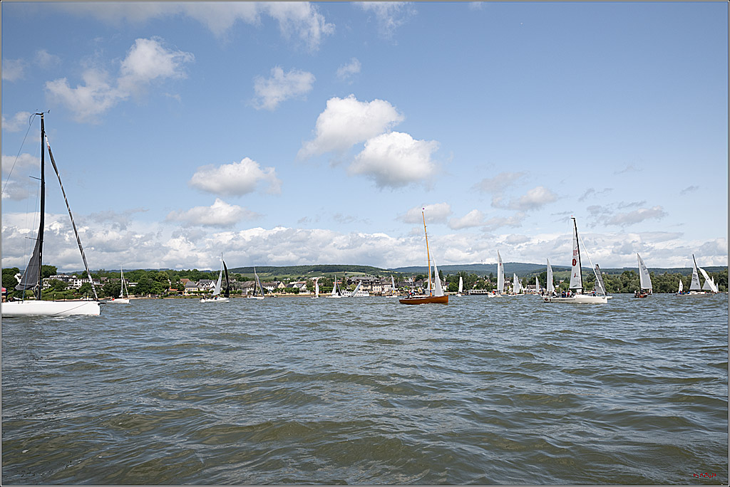 Rheinwoche 2025 1. Regattatag, 07.06.2025