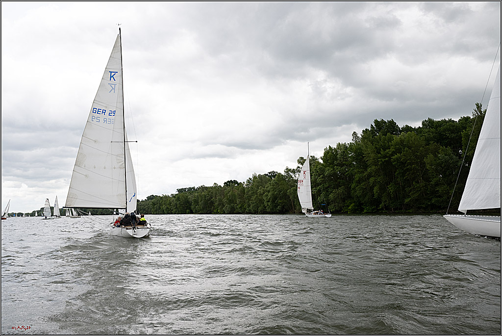 Rheinwoche 2025 1. Regattatag, 07.06.2025