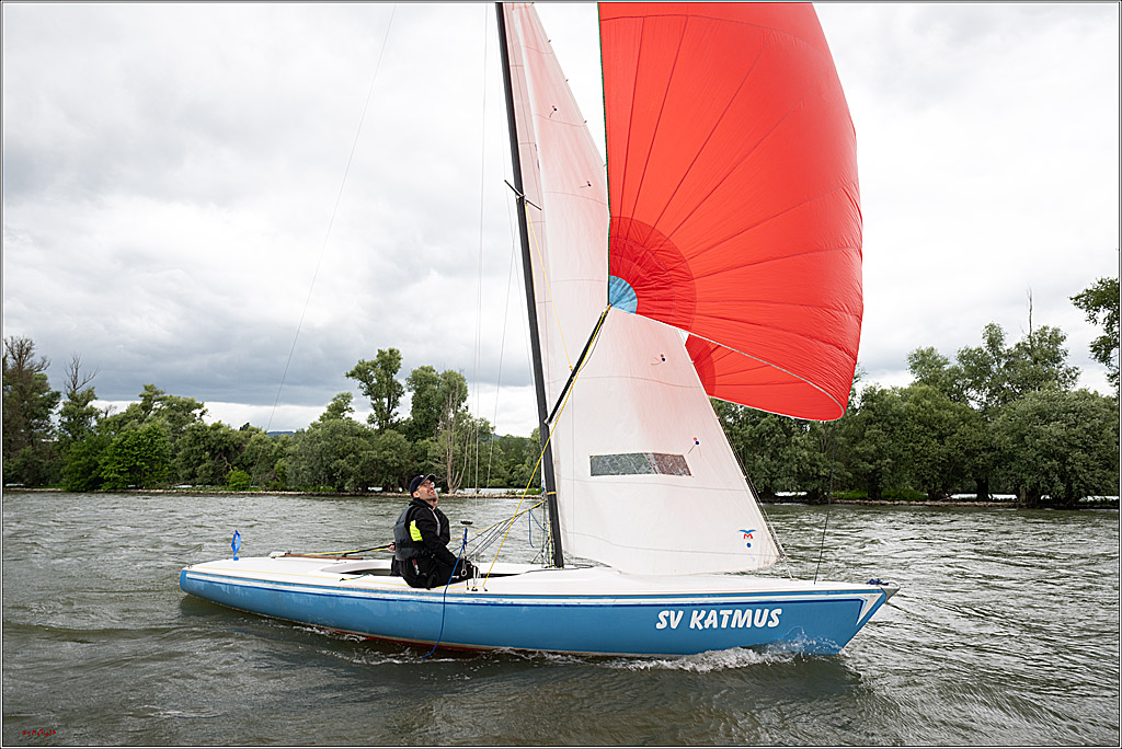 Rheinwoche 2025 1. Regattatag, 07.06.2025
