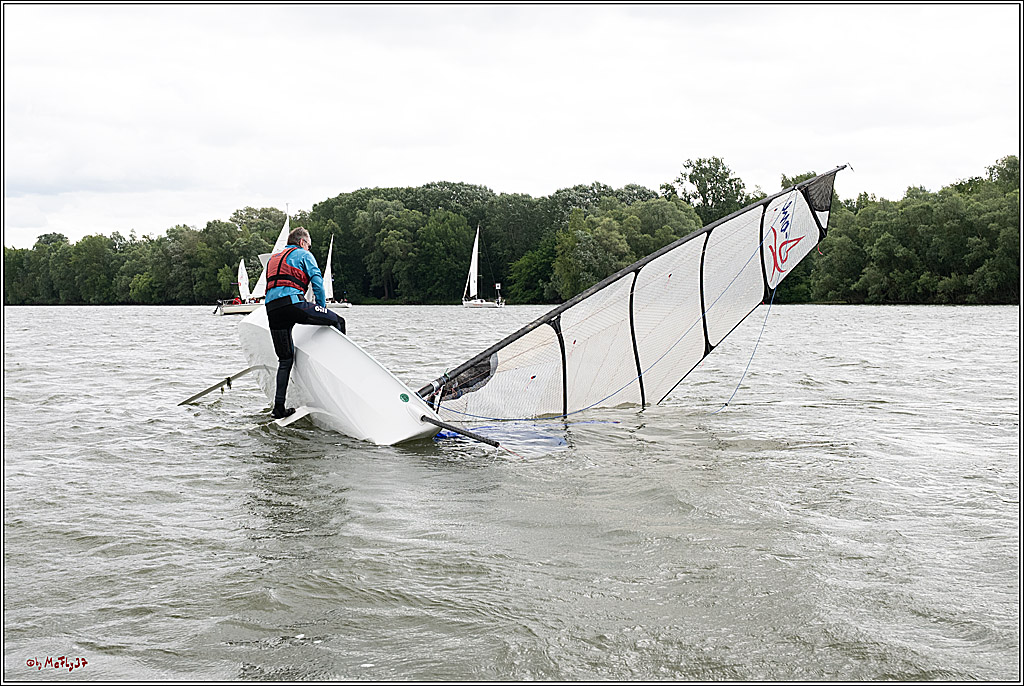 Rheinwoche 2025 1. Regattatag, 07.06.2025