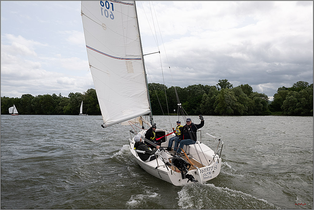 Rheinwoche 2025 1. Regattatag, 07.06.2025