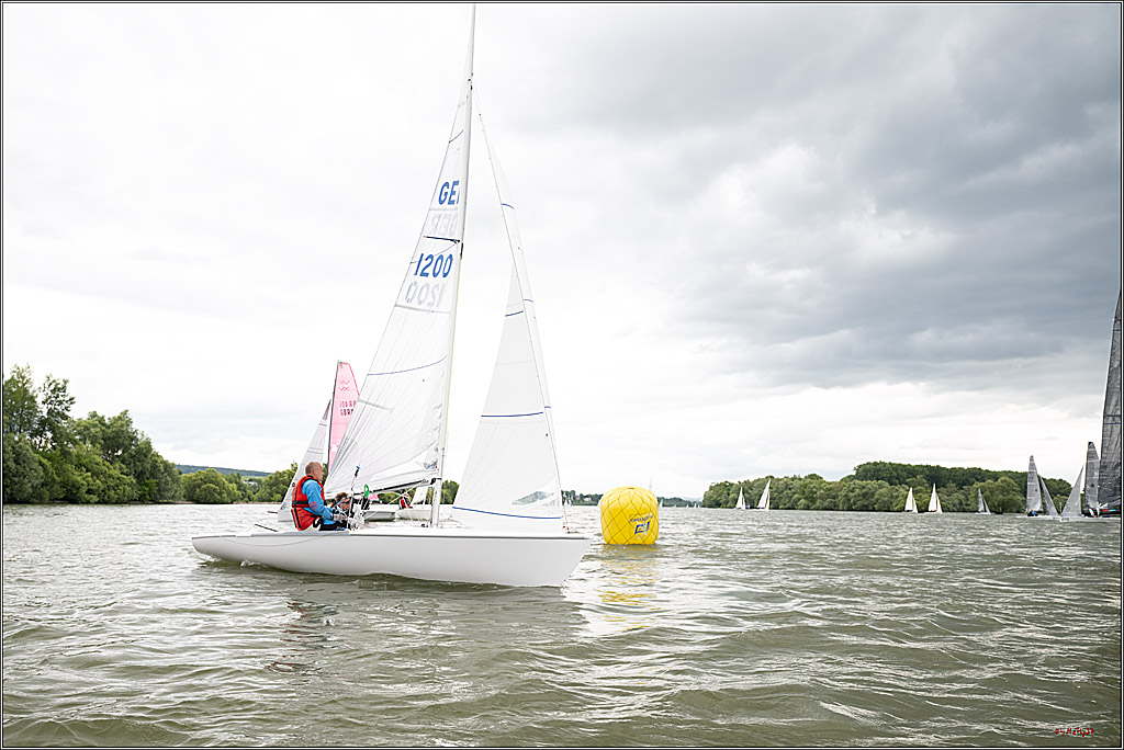 Rheinwoche 2025 1. Regattatag, 07.06.2025