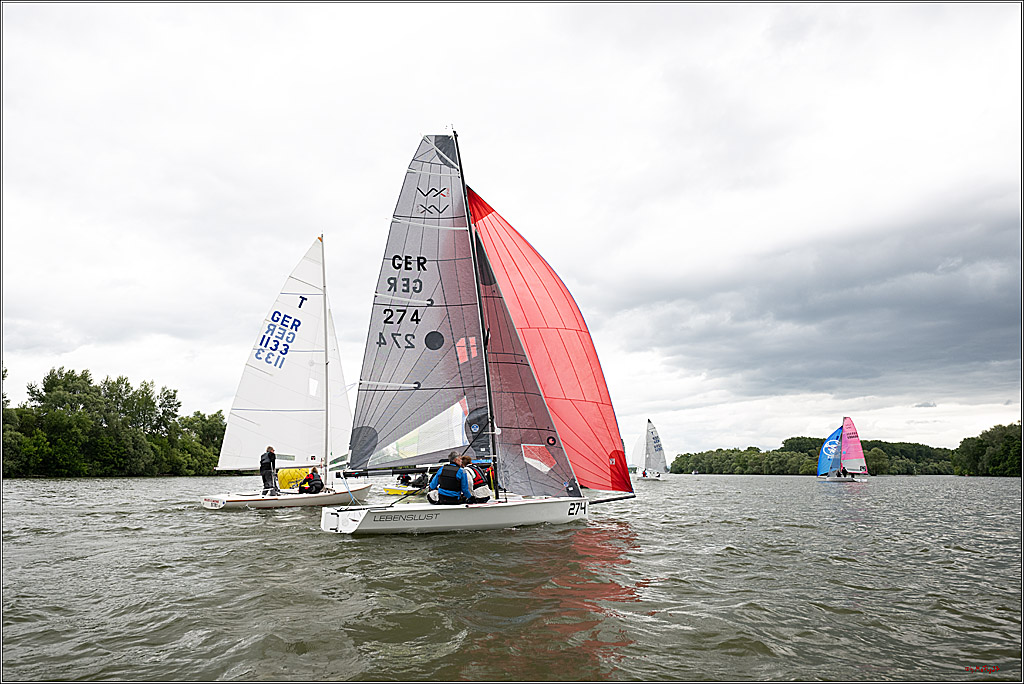 Rheinwoche 2025 1. Regattatag, 07.06.2025