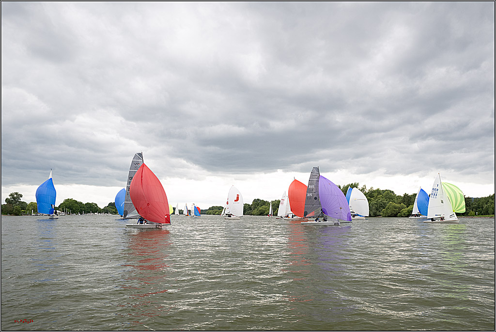 Rheinwoche 2025 1. Regattatag, 07.06.2025