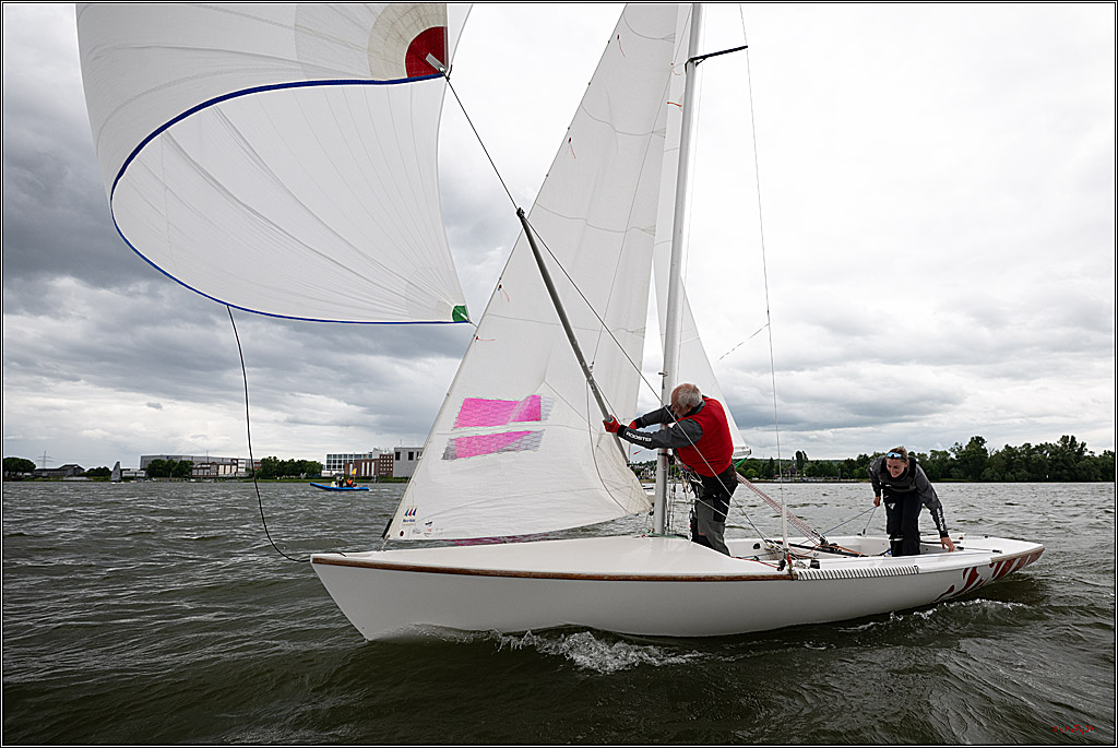 Rheinwoche 2025 1. Regattatag, 07.06.2025