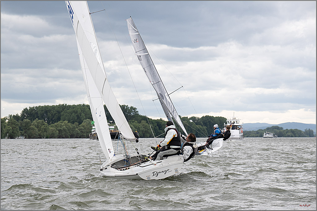 Rheinwoche 2025 1. Regattatag, 07.06.2025