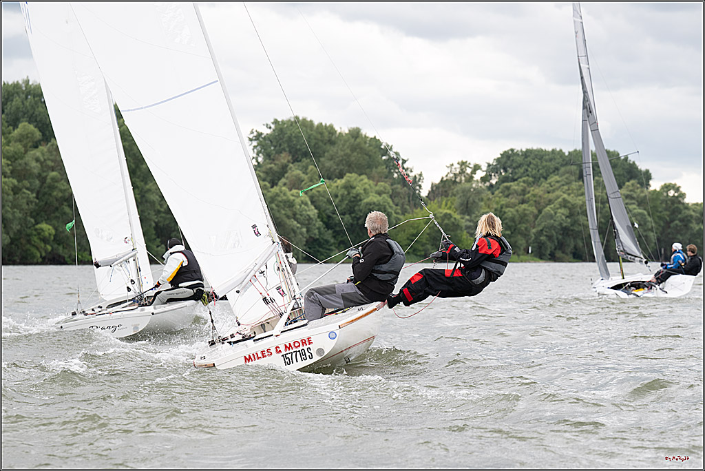 Rheinwoche 2025 1. Regattatag, 07.06.2025