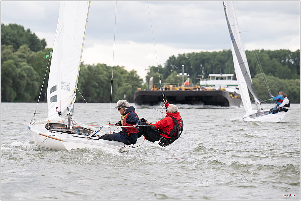 Rheinwoche 2025 1. Regattatag, 07.06.2025