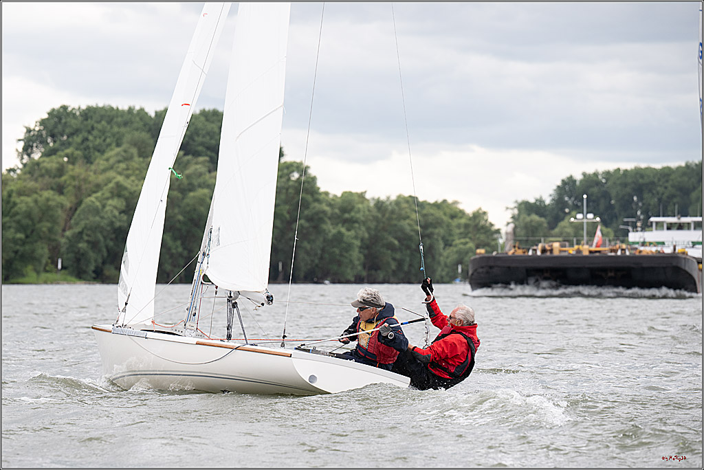 Rheinwoche 2025 1. Regattatag, 07.06.2025