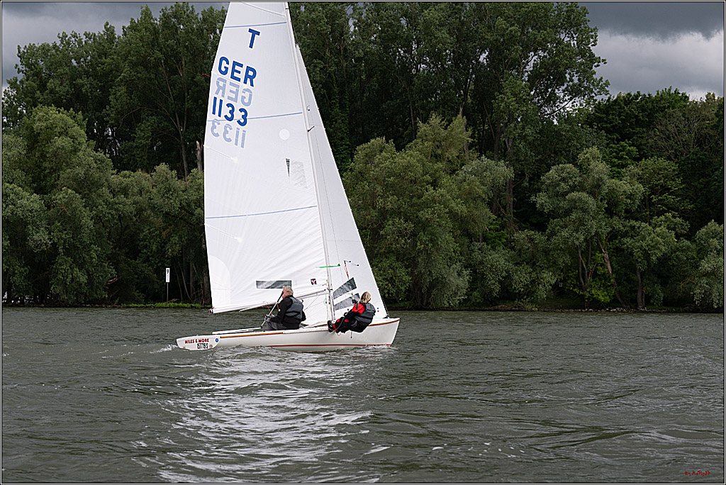 Rheinwoche 2025 1. Regattatag, 07.06.2025