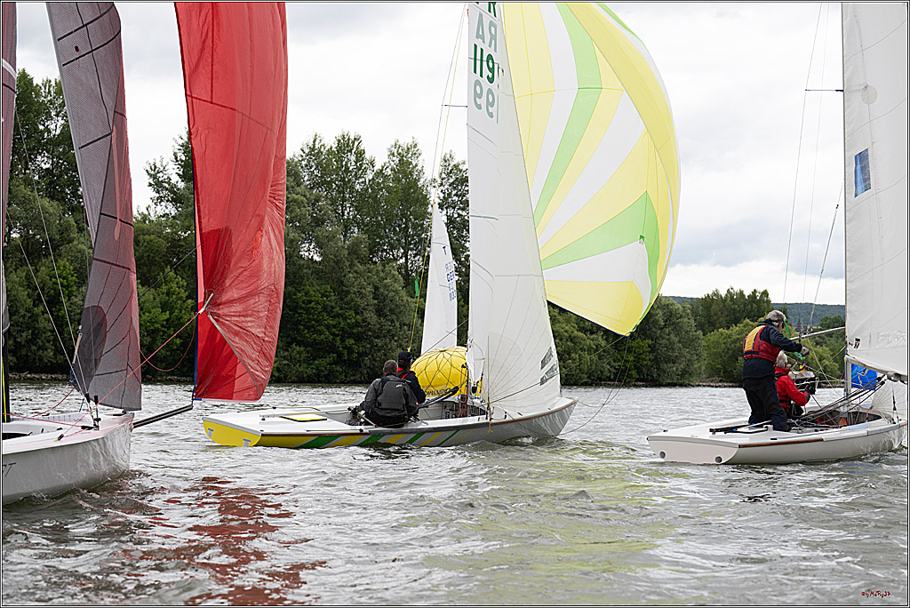 Rheinwoche 2025 1. Regattatag, 07.06.2025