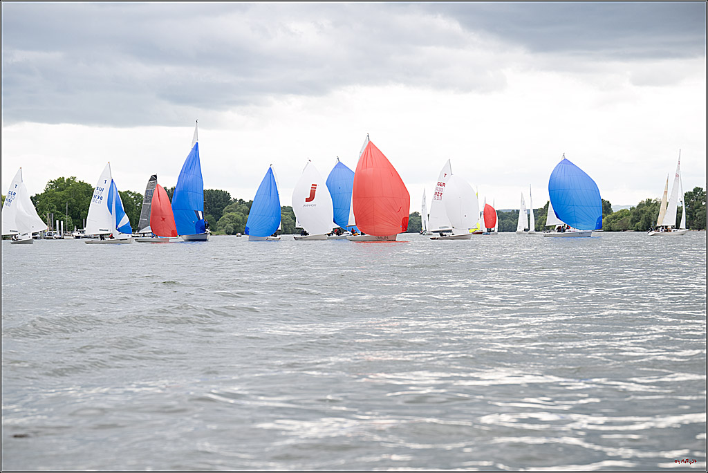 Rheinwoche 2025 1. Regattatag, 07.06.2025