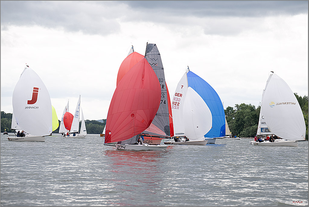Rheinwoche 2025 1. Regattatag, 07.06.2025