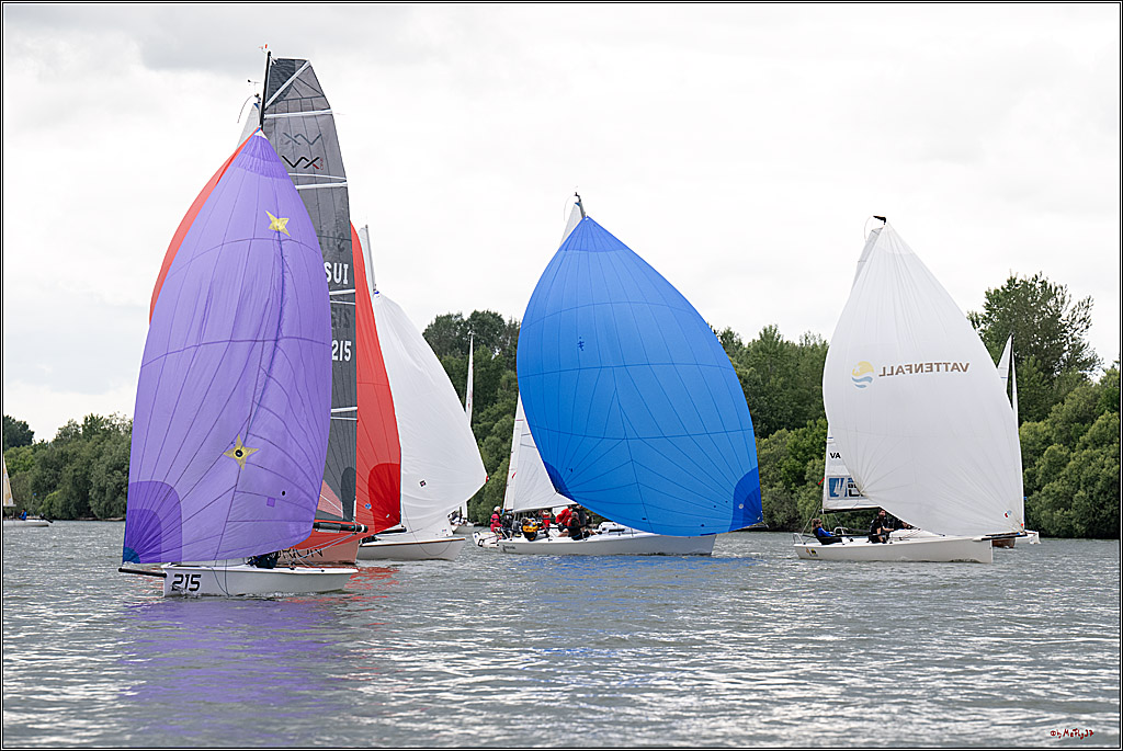 Rheinwoche 2025 1. Regattatag, 07.06.2025